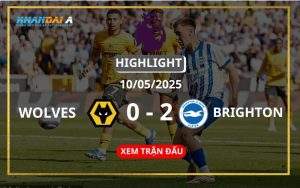 Highlight Bóng Đá Wolverhampton Vs Brighton & Hove 10/05/2025